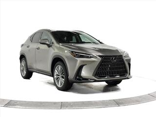 2026 Lexus NX 350