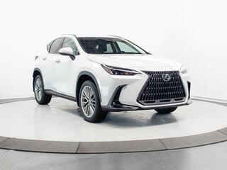2026 Lexus NX 350 for sale in Schaumburg IL