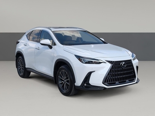 2026 Lexus NX 350 for sale in Chattanooga TN