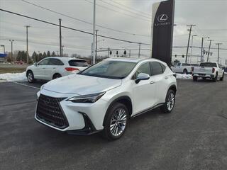 2022 Lexus NX 350 for sale in Toledo OH