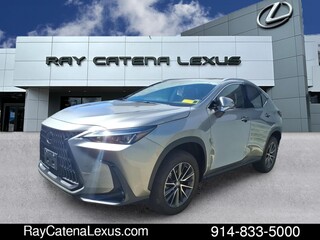 2023 Lexus NX 350 for sale in Larchmont NY