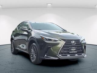 2023 Lexus NX 350 for sale in Freehold NJ