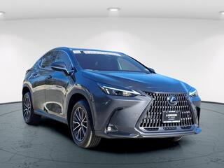 2023 Lexus NX 350 for sale in Freehold NJ