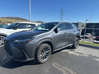 2023 Lexus NX 350 for sale in Chattanooga TN