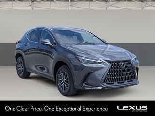 2024 Lexus NX 350 for sale in Chattanooga TN