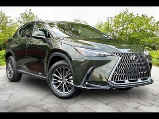 2024 Lexus NX 350 for sale in Freehold NJ