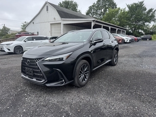 2024 Lexus NX 350