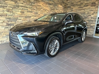 2025 Lexus NX 350 for sale in Allentown PA