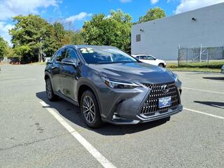 2025 Lexus NX 350 for sale in Little Falls NJ