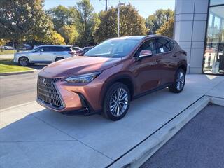 2025 Lexus NX 350 for sale in Toledo OH