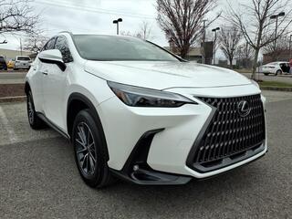 2025 Lexus NX 350 for sale in Nashville TN