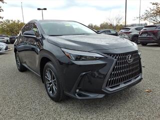 2026 Lexus NX 350 for sale in Nashville TN