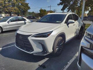 2022 Lexus NX 350 for sale in Toledo OH