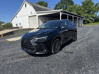 2023 Lexus NX 350 for sale in Allentown PA