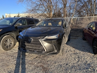 2023 Lexus NX 350 for sale in Allentown PA