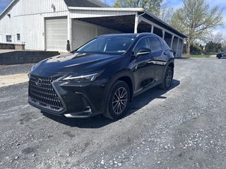 2024 Lexus NX 350 for sale in Allentown PA