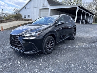 2024 Lexus NX 350 for sale in Allentown PA