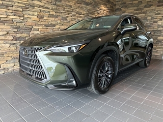 2025 Lexus NX 350 for sale in Allentown PA