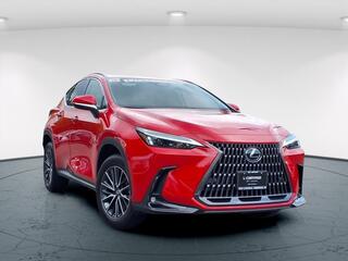 2025 Lexus NX 350 for sale in Freehold NJ
