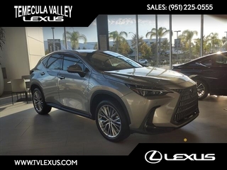 2025 Lexus NX 350 for sale in Temecula CA