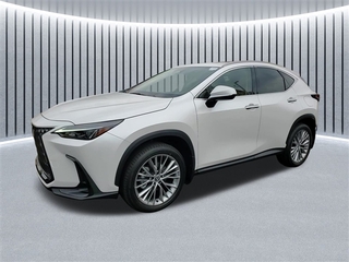 2025 Lexus NX 350 for sale in Schaumburg IL