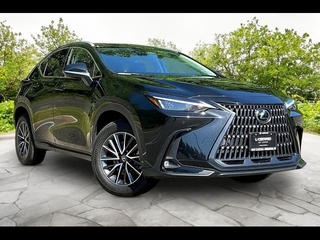 2025 Lexus NX 350