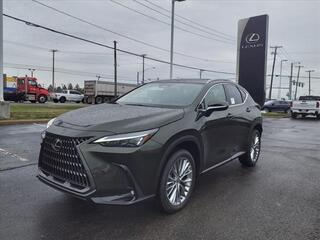 2025 Lexus NX 350 for sale in Toledo OH