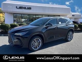 2025 Lexus NX 350 for sale in Kingsport TN