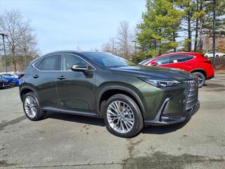 2025 Lexus NX 350 for sale in Durham NC