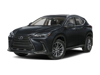 2025 Lexus NX 350 for sale in Chattanooga TN
