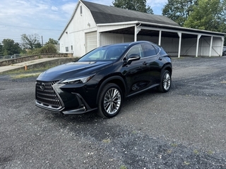 2025 Lexus NX 350 for sale in Allentown PA