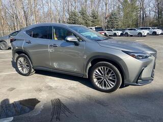 2025 Lexus NX 350