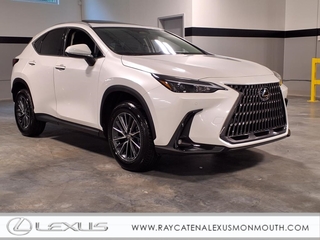 2025 Lexus NX 350 for sale in Allentown PA
