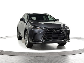 2025 Lexus NX 350 for sale in Schaumburg IL