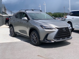 2025 Lexus NX 350 for sale in Chattanooga TN