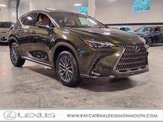 2025 Lexus NX 350