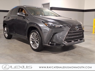 2026 Lexus NX 350 for sale in Oakhurst NJ