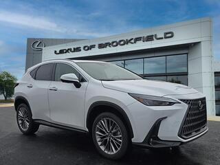 2026 Lexus NX 350 for sale in Brookfield WI