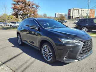 2022 Lexus NX 350 for sale in Nashville TN