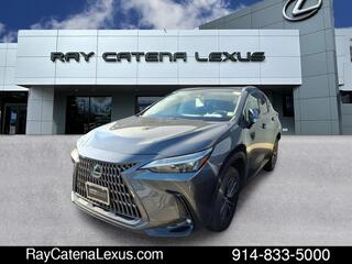 2024 Lexus NX 350