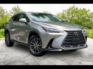 2024 Lexus NX 350 for sale in Freehold NJ