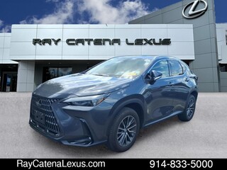 2024 Lexus NX 350 for sale in Larchmont NY