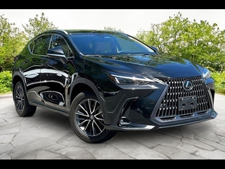 2024 Lexus NX 350 for sale in Freehold NJ