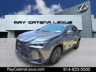 2025 Lexus NX 350 for sale in Larchmont NY