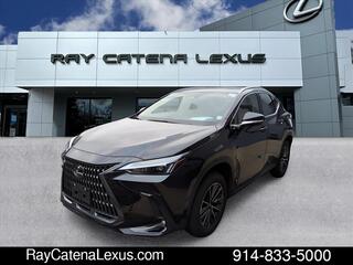2025 Lexus NX 350 for sale in Larchmont NY