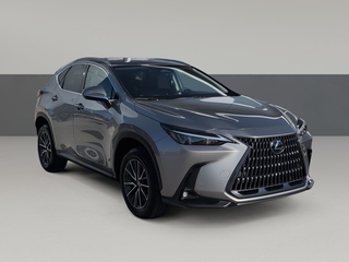 2025 Lexus NX 350 for sale in Chattanooga TN