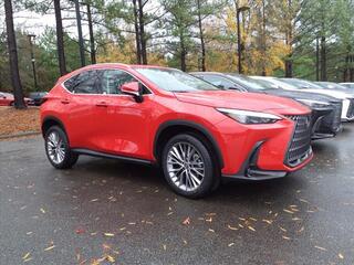 2025 Lexus NX 350 for sale in Durham NC