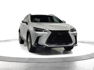 2025 Lexus NX 350 for sale in Schaumburg IL