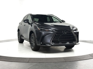 2025 Lexus NX 350 for sale in Schaumburg IL