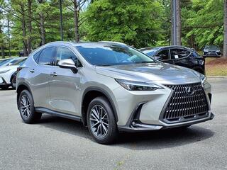 2025 Lexus NX 350 for sale in Durham NC